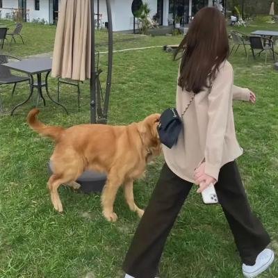 枕男子